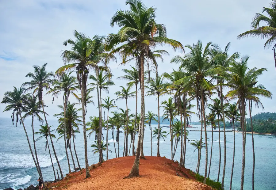 tappe-nargil-sri-lanka