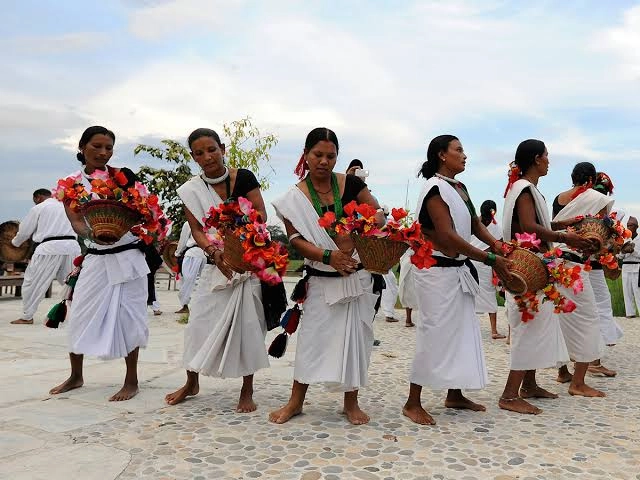 ahali-taro-chitwan-nepal