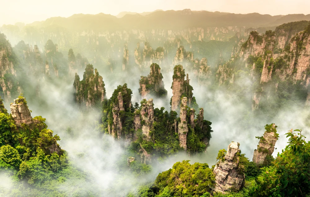 chamgard.com-zhangjiaji