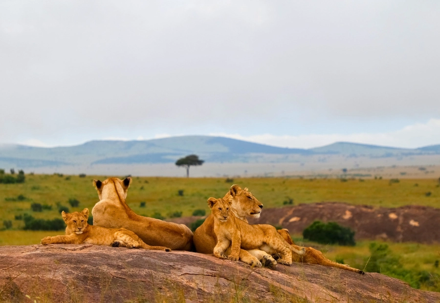 tour-kenya-01