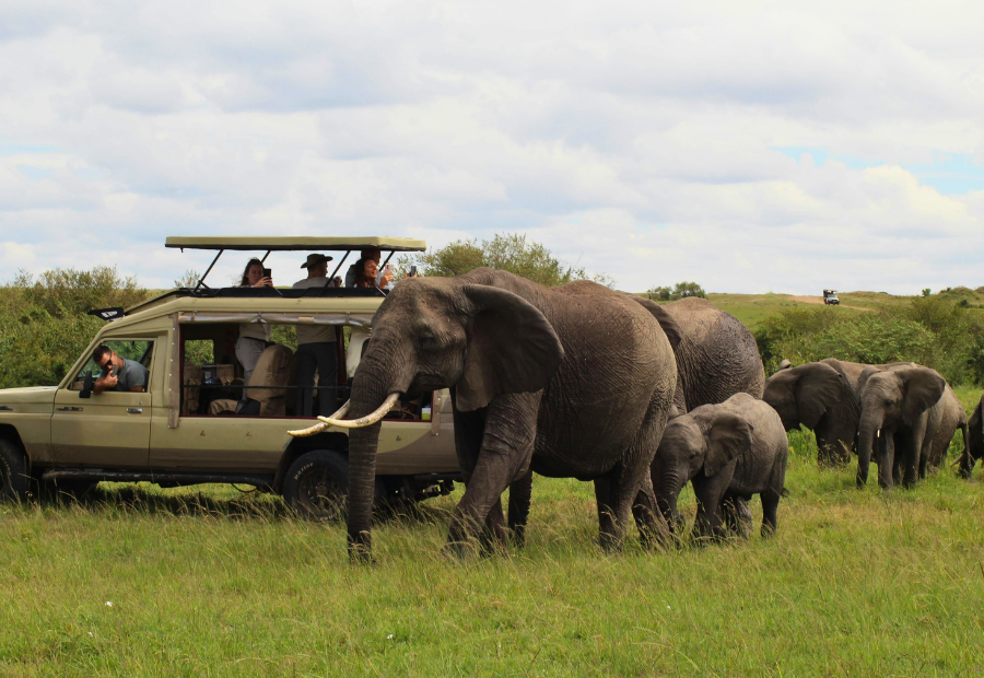 kenya-safari-chamgard