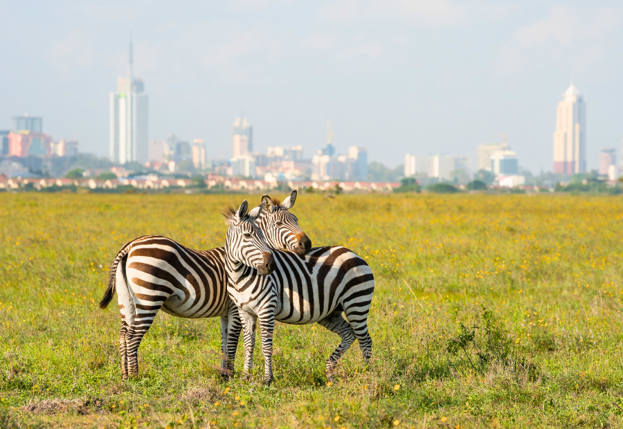 nairobi